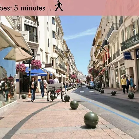 Amazing Center * Cannes